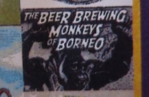 beer brewing monkeys of borneo