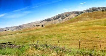 grassy hillside california