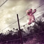 teddy bear barbed wire fence